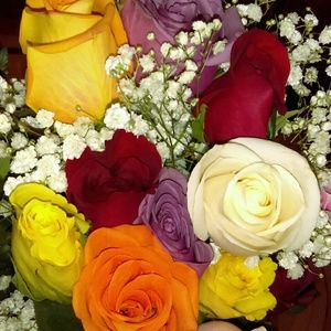 Meet your Posher, Shauna